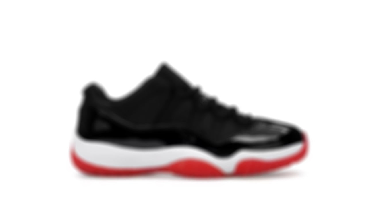 LOW BRED 11s